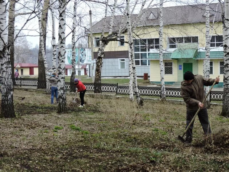 Село Ельцовка Алтайский край. Наше село Ельцовка. Ельцовка мое село. Село Ельцовка Алтайский край фото.