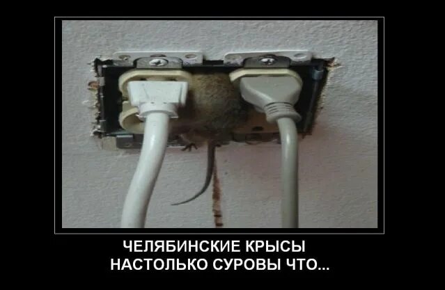 Что значит быть суровым