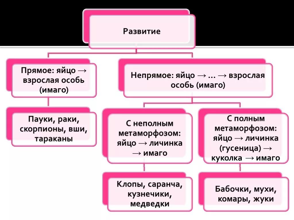 Типы развития прямое и Непрямое. Сравнительная таблица прямого и непрямого развития. Прямое и Непрямое развитие насекомых таблица. Типы развития прямое и Непрямое схема. У рыбы прямое или непрямое развитие