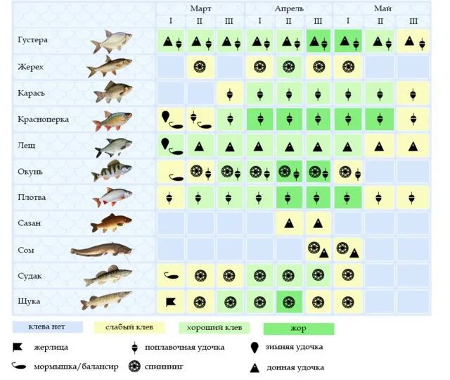 Клев окуня в марте. Календарь рыбака. Таблица рыболова. Календарь клева рыбы. Рыболовный лунный календарь.