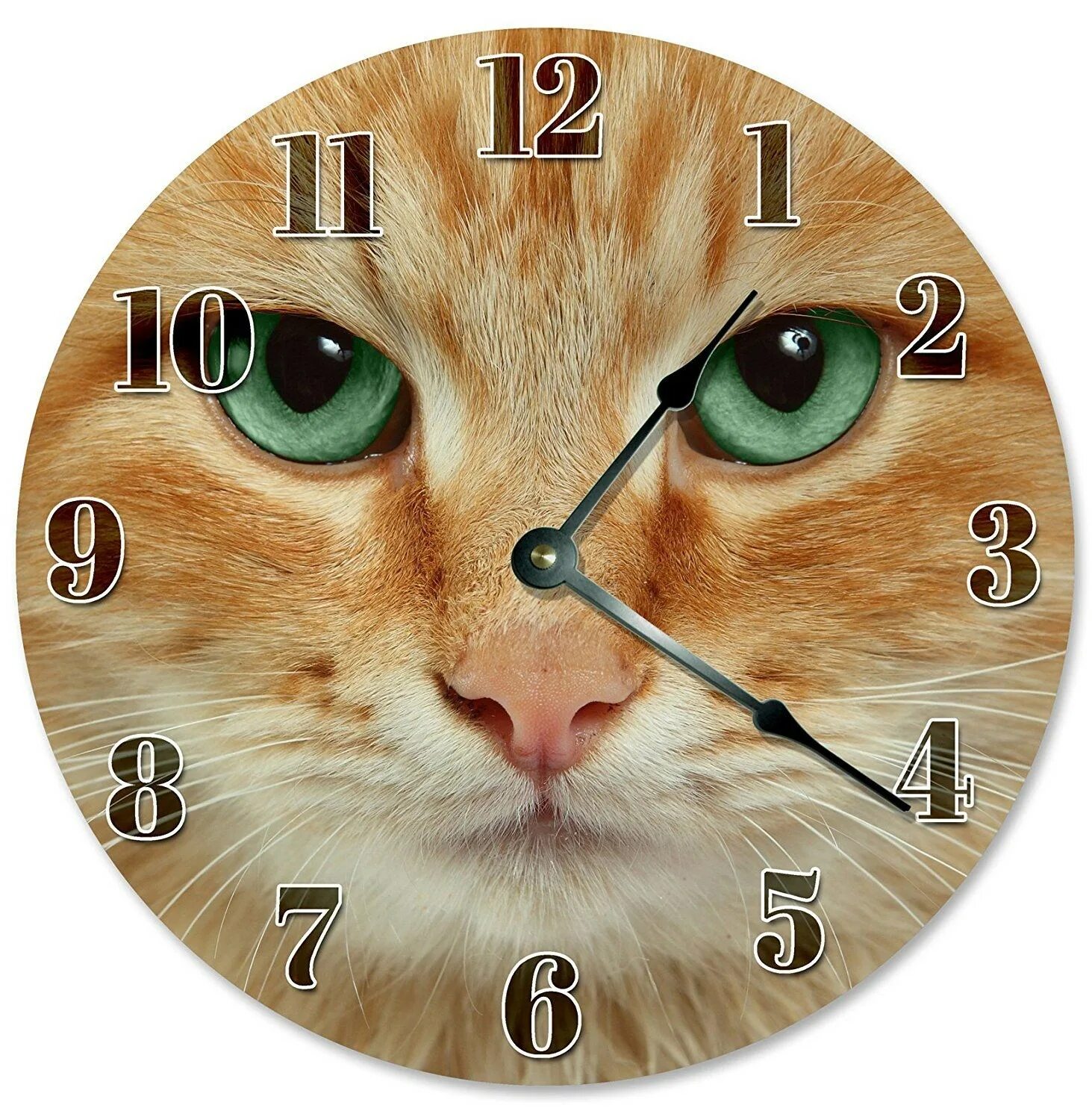 Коты 10 часов. Кошачьи часы. Часы кошка. Часы с кошками настенные. Кот и часы.