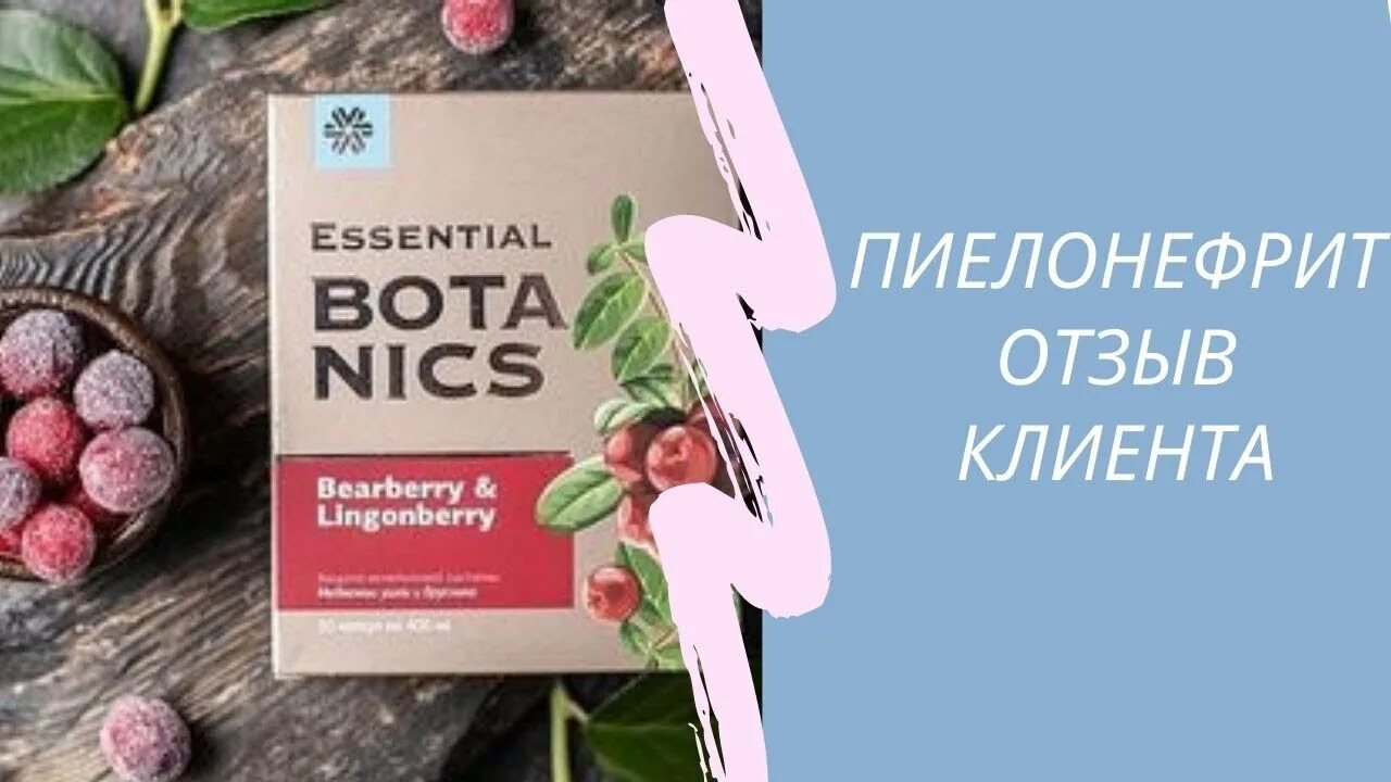 Медвежьи ушки Сибирское здоровье. Медвежьи ушки и брусника Сибирское здоровье. Медвежьи ушки Siberian Wellness. Медвежья брусника Сибирское здоровье. Медвежьи ушки инструкция по применению цена отзывы