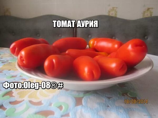 Помидоры сорт радость. Помидоры аурия и казанова. перец аурия. сорт помидор казанова.