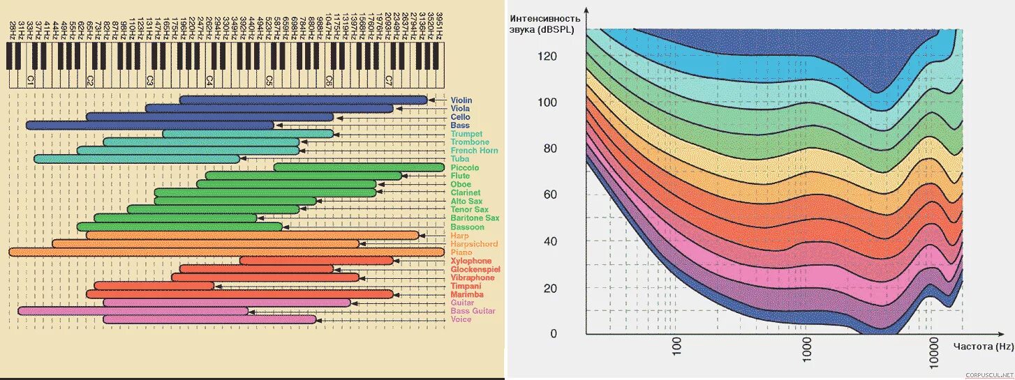 Таблица частот музыкальных инструментов. Частотный диапазон музыкальных инструментов таблица. Таблица эквализации инструментов частоты. Частотные диапазоны музыкальных инструментов. Звук разной частоты