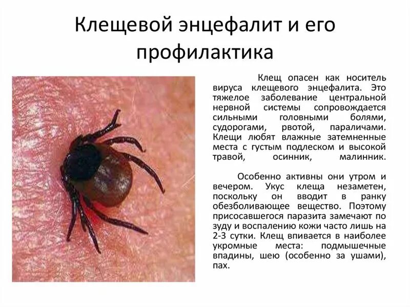 Обработка холодным туманом в Чугуевке - Обеззараживание помещения - Разное: 8 де