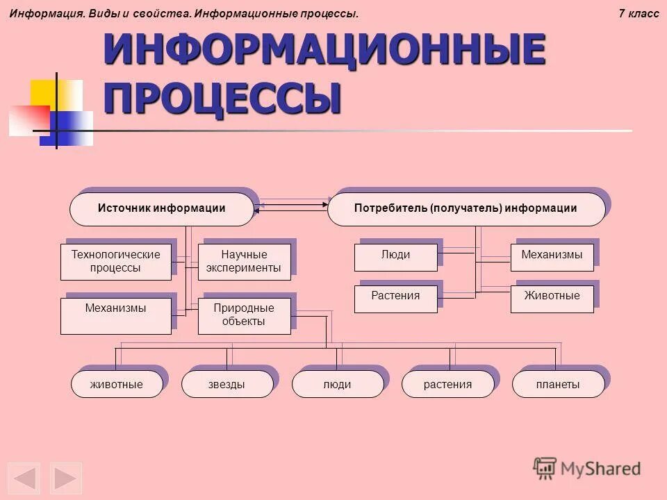 Информационные процессы. Виды информационных процессов. Понятие информационного процесса. Виды и свойства информации информационные процессы. Информации 9 с 10