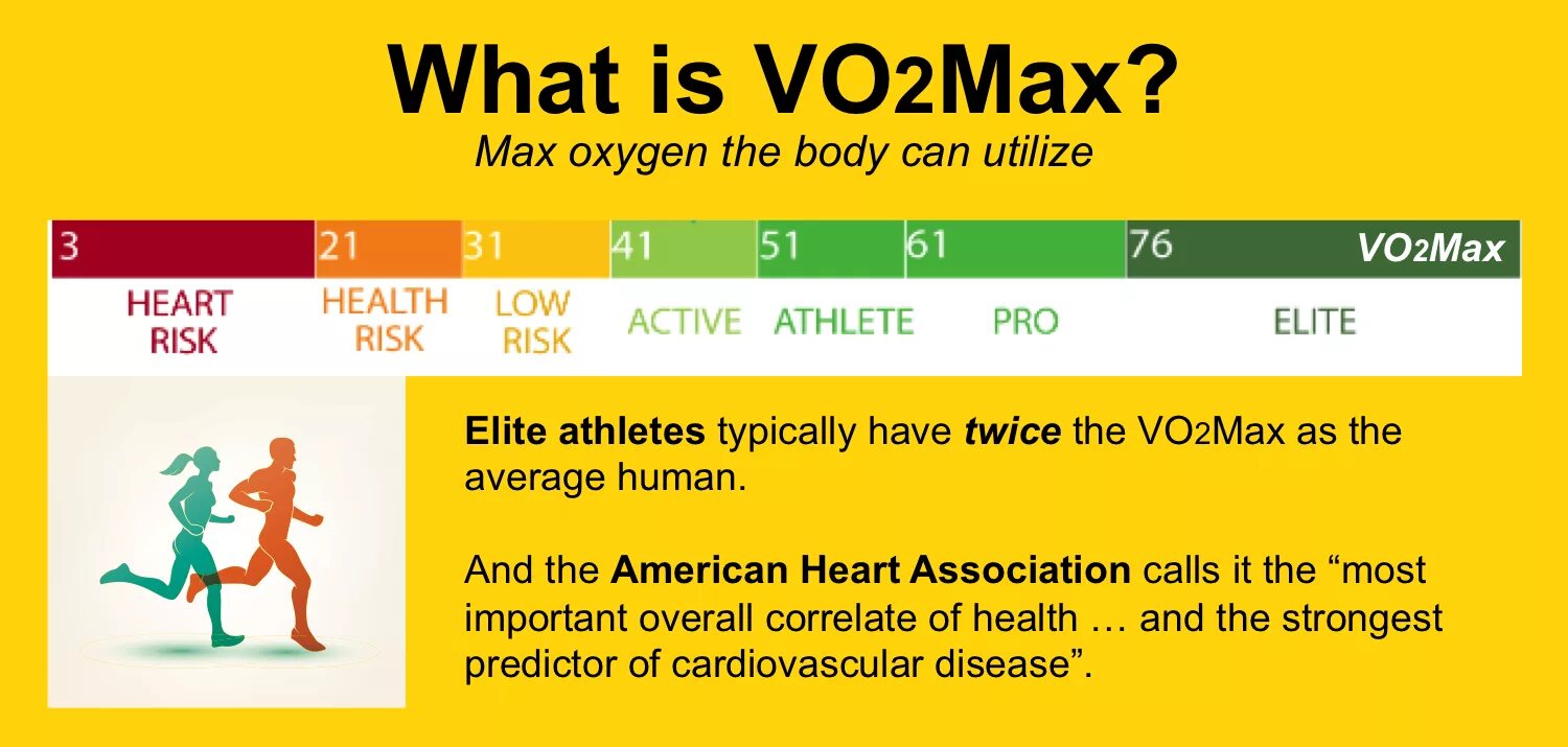 2 max q 2 max. Vo2 max что это. vo2 max у бегунов. vo₂ max — 71. vo2max 45.