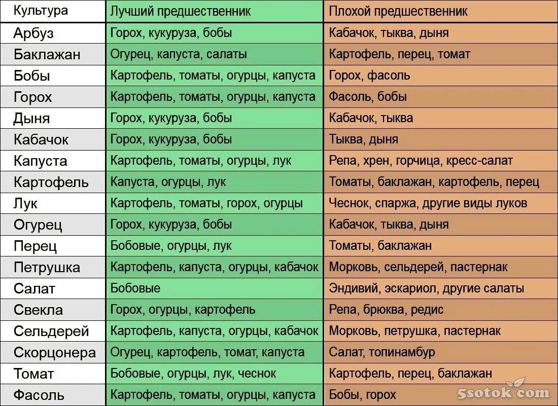 Совместимость овощных культур при посадке на грядке таблица. Посадка овощей предшественники таблица. Предшественники овощных культур при посадке таблица. Совместимость овощей на огороде при посадке таблица.