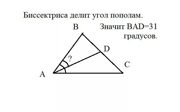 Биссектриса. Биссектриса делит. Биссектриса делит угол. Биссектриса делит угол пополам. Любая биссектриса треугольника делит его пополам
