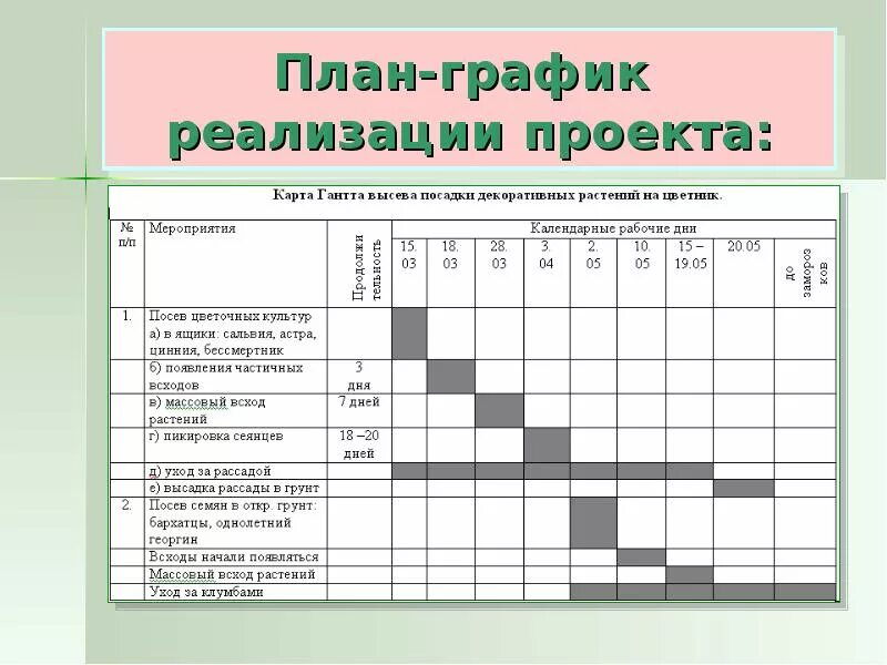 Календарный план насекомые. Пример плана Графика внедрения проекта. План график проекта пример. План-график реализации проекта. План график мероприятий проекта.