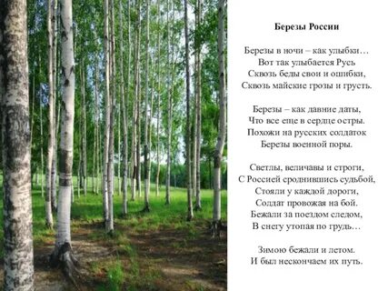 Песня рощи березовой стать
