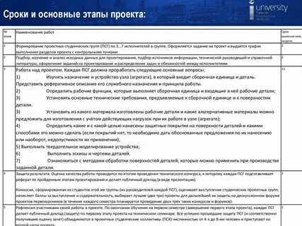 Сроки и этапы проекта