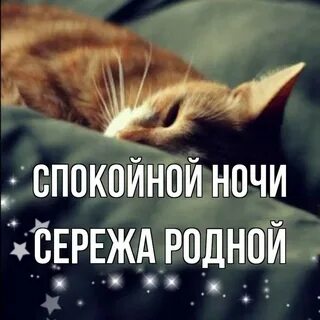 Закрой снов