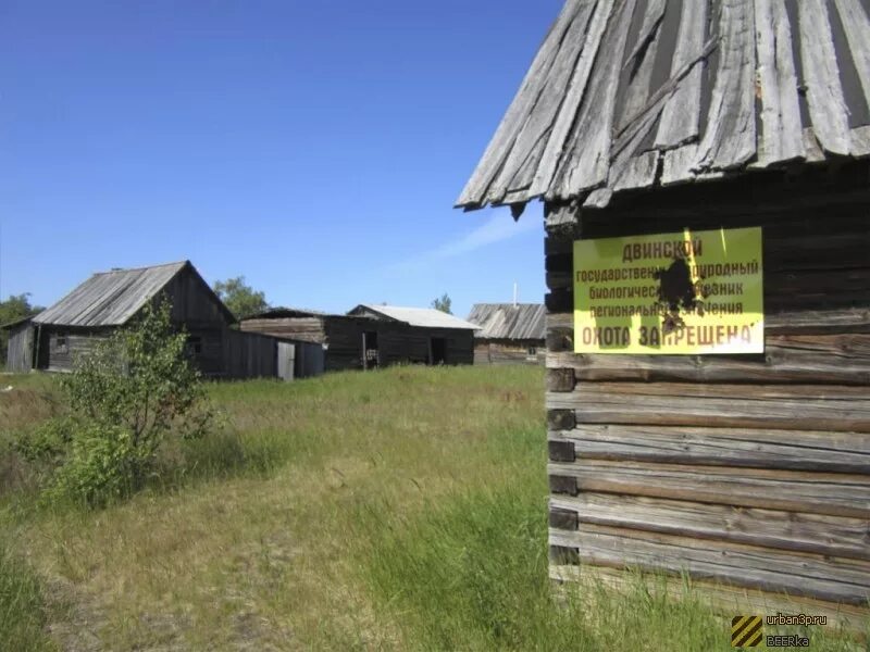 Деревня оказалась. Остров Кумбыш Архангельской области. Деревня голова. Архангельская область деревня голова. Избы на острове Кумбыш.