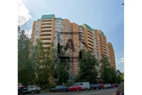 Жило 24