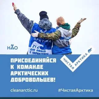 Слово арктика происходит