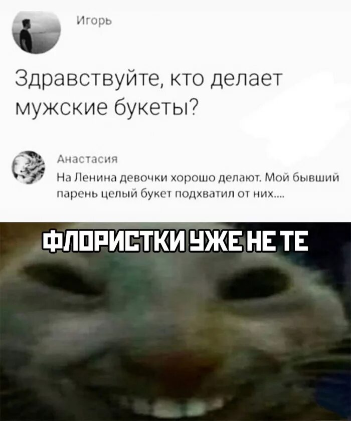 Здравствуйте ты кто такой