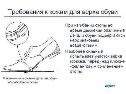 Верх сапога