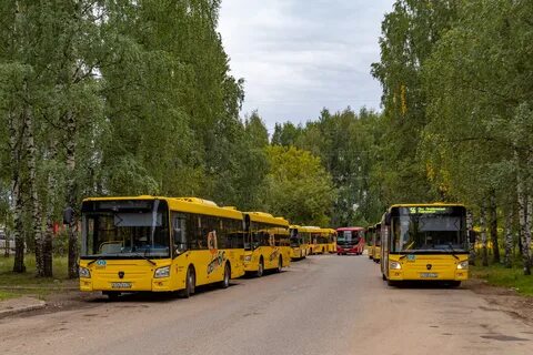 85 автобус ярославль