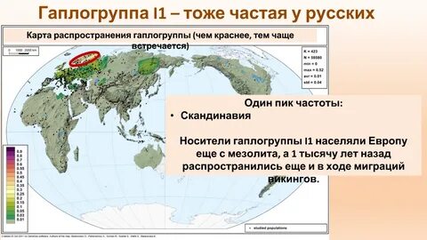Гаплогруппа