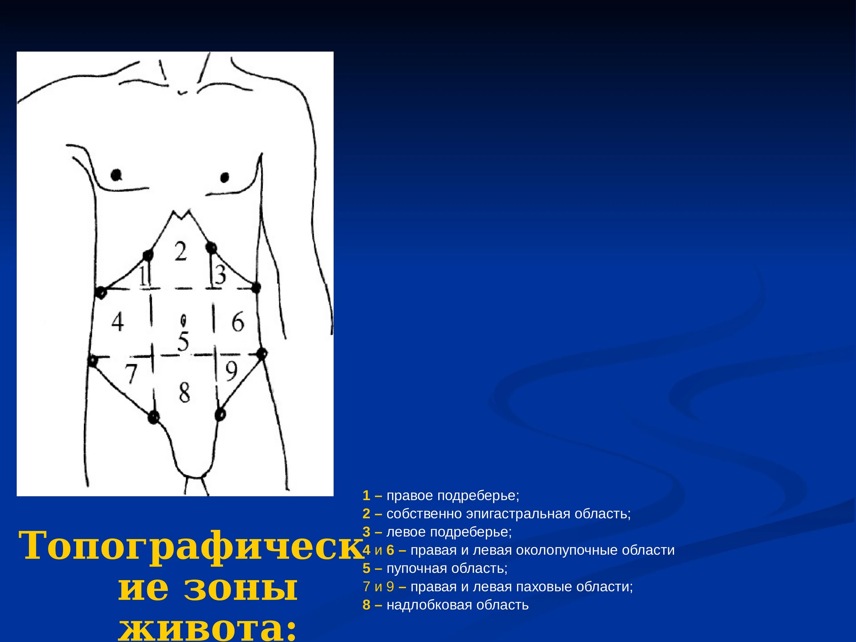 Ноющие боли в области правого подреберья. Эпигастральная область. Зоны живота эпигастральная. Эпигастральная область правое подреберье. Надчревная зона живота.