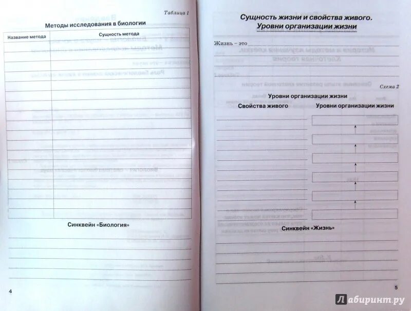 Бодрова биология 9 класс рабочая. Рабочая тетрадь руководителя. Рабочая тетрадь по биологии 6 класс Бодрова. Рабочая тетрадь руководителя организации. Тетрадь по биологии 6 класс Бодрова.