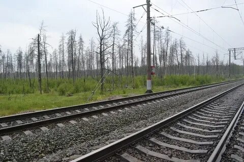 Ржд 21