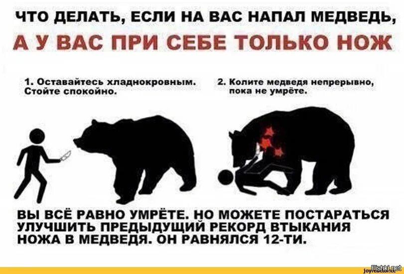 Против насколько. Что делать если напал медведь. Что делать если на вас напал медведь. Что делать если напал медоед.