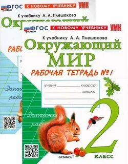 Окружающий мир 4 класс рабочая тетрадь 2025