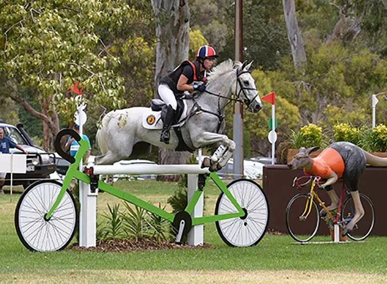 3 day eventing. Барьеры для лошадей. Троеборье конный спорт. Конные препятствия. Барьеры для конного спорта.