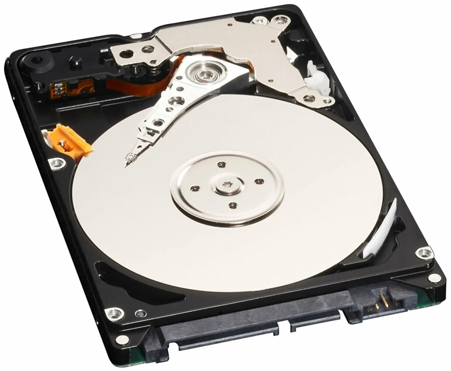 Жесткий диск компьютера является. HDD WDC wd3200bpvt-22jj5t0. HDD 2.5 SATA для ноутбука 1tb. Western Digital 320 ГБ wd3200bekt. Жесткий диск dell 400-BJTH.
