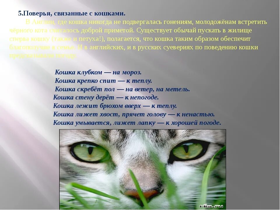 Поверье 7 букв