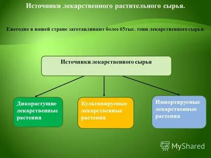 Заготовка лекарственного растительного сырья