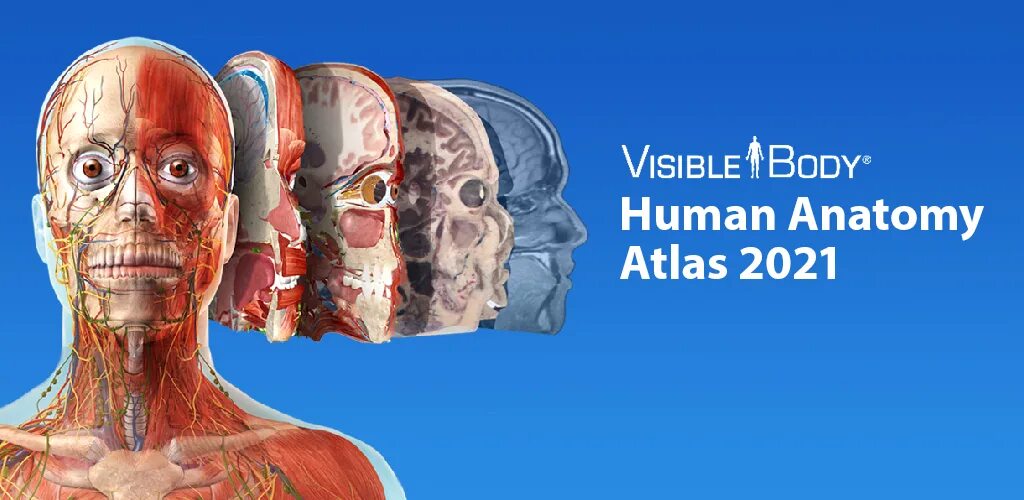 Atlas full. Human anatomy atlas 2025 complete 3d human body.