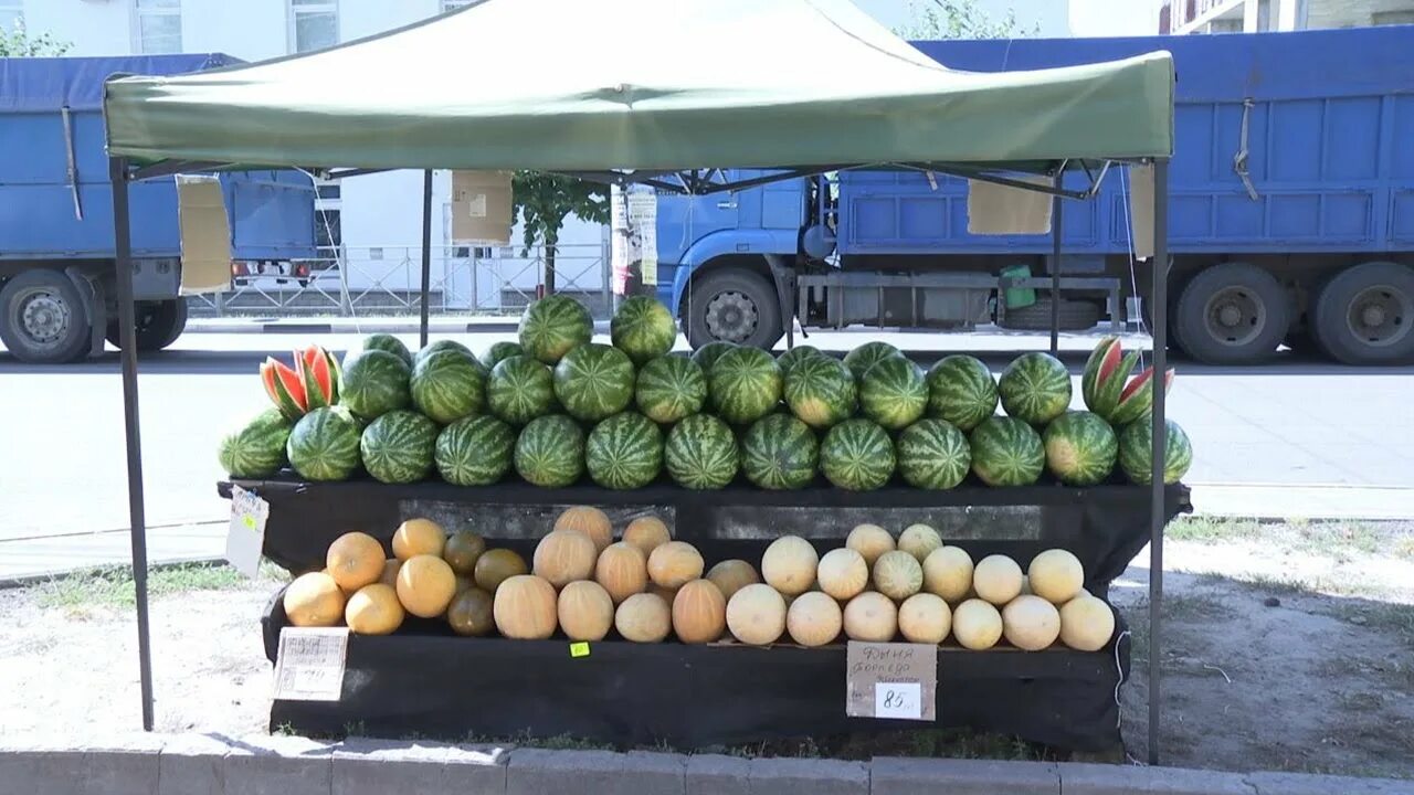 Арбузов курск. Бахча курск арбуз. клюква бахча курск арбуз. витрина для арбуза. прилавок с арбузами.