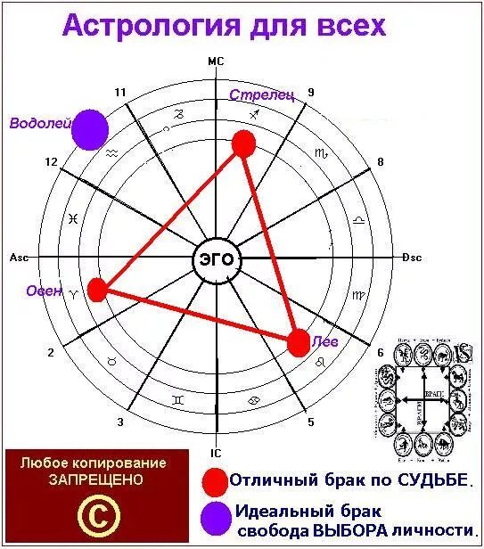 Стрелец пара. Стрелец в браке. Пары по знакам зодиака. Пары знак зодиака Стрелец. Лев стрелец совместимость процент