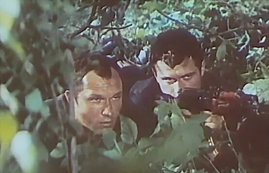 В зоне особого назначения. В зоне особого внимания (1977).