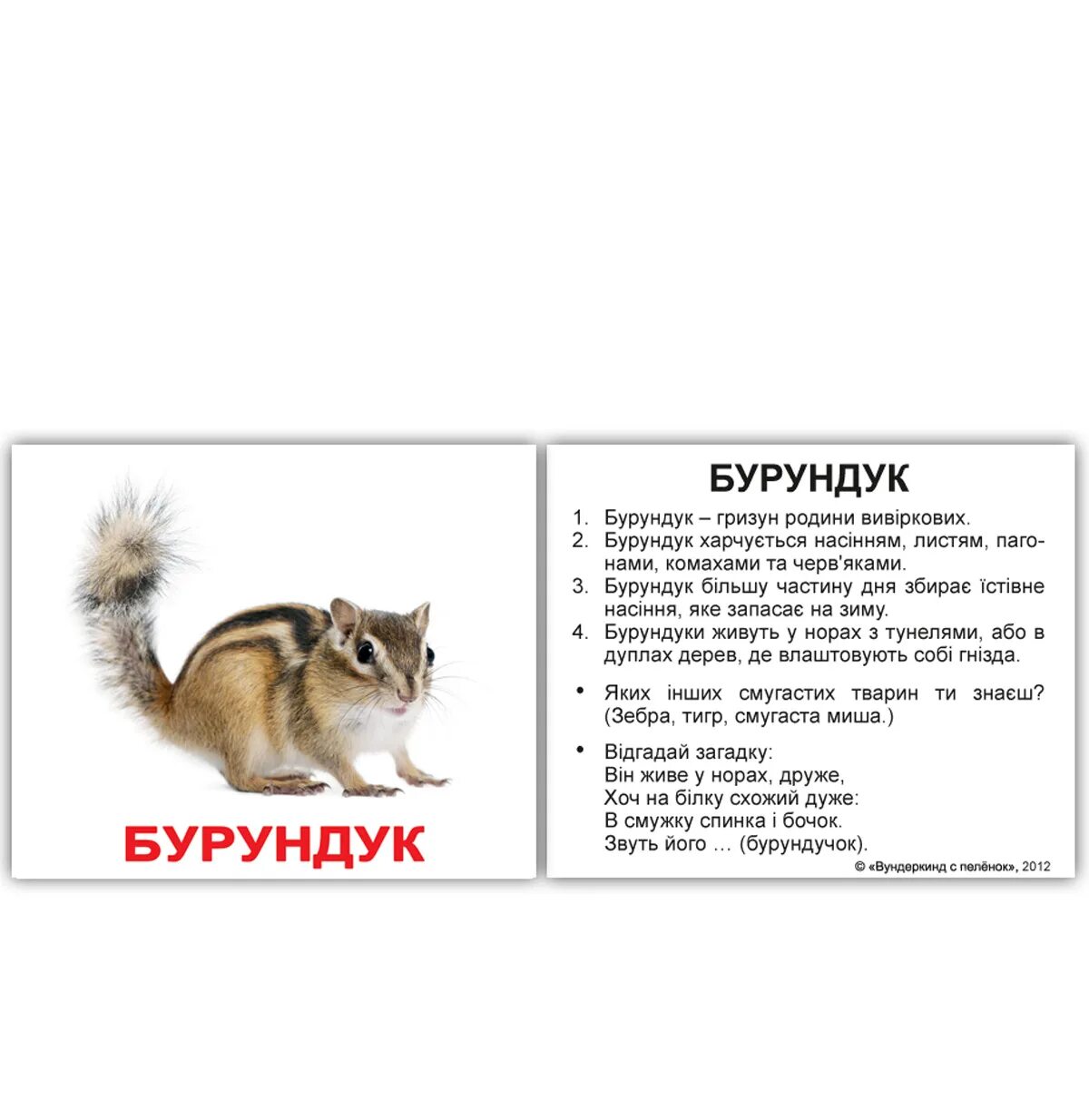 Дикие животные описанием. Карточки вундеркинд с пелёнок дикие животные. карточки с фактами. дикие животные карточки домана. карточки про животных с описанием.