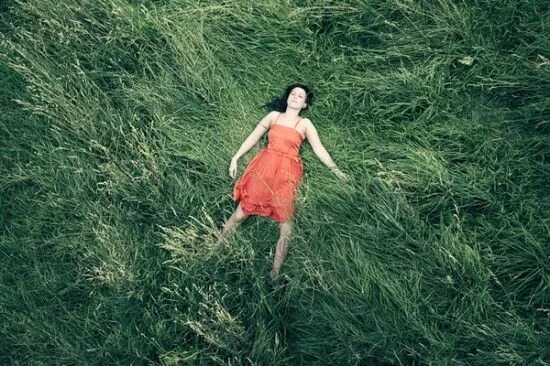 Fawn Dreamy photography, Flower field, Beautiful songs