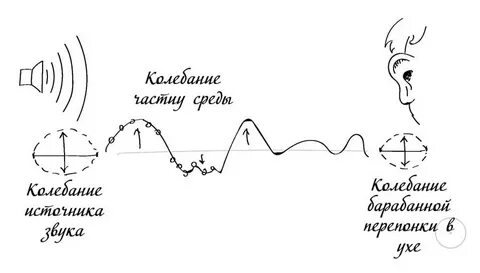 Частота звука в физике