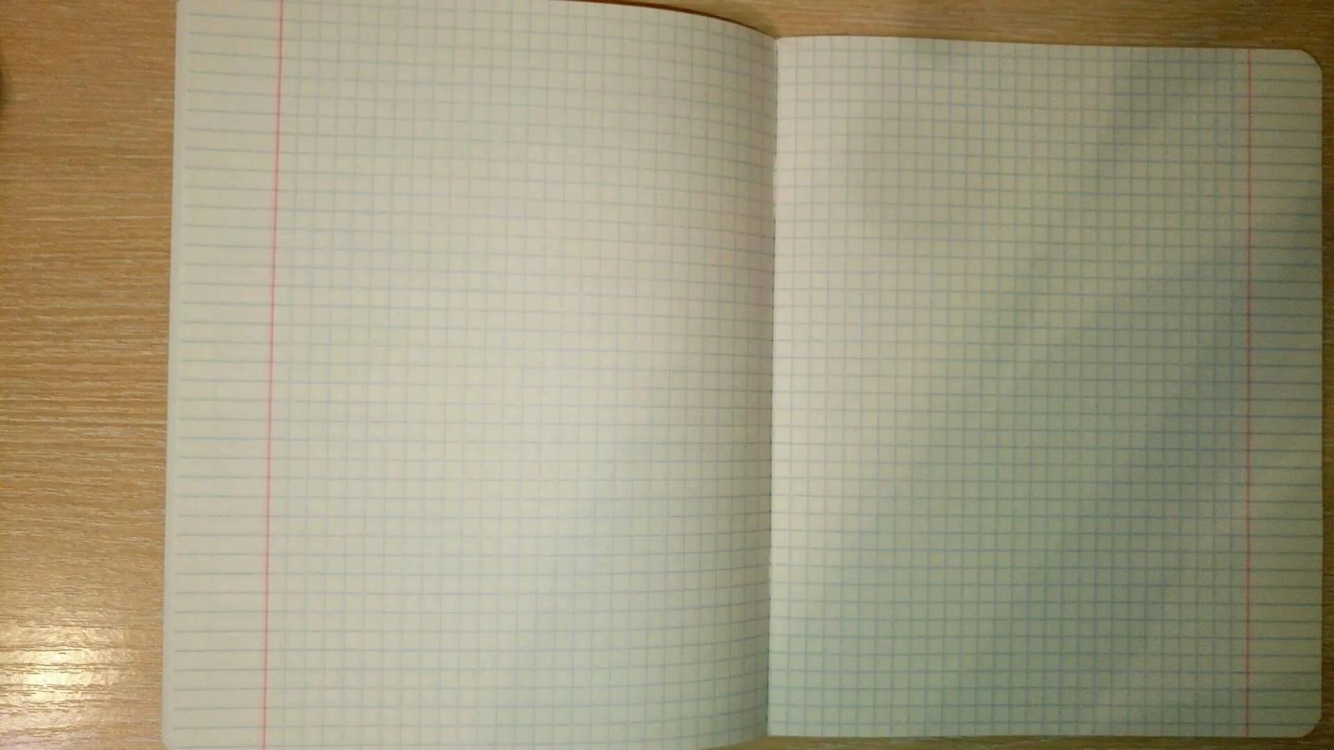 тетрадный лист в клеточку. лист в клетку. тетрадный лист в клетку. тетрадка а4 в клетку. тетрадный лист в клетку фон.