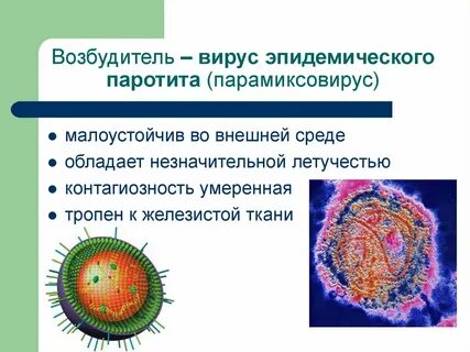 Возбудителем кори является ответ