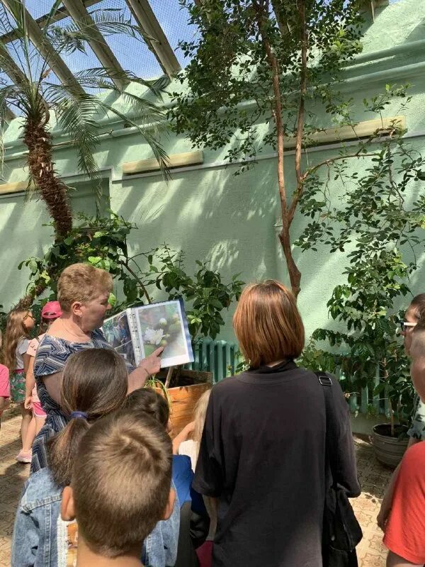 управление образования сады