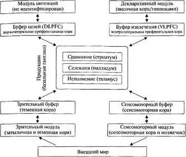 Основная интенция