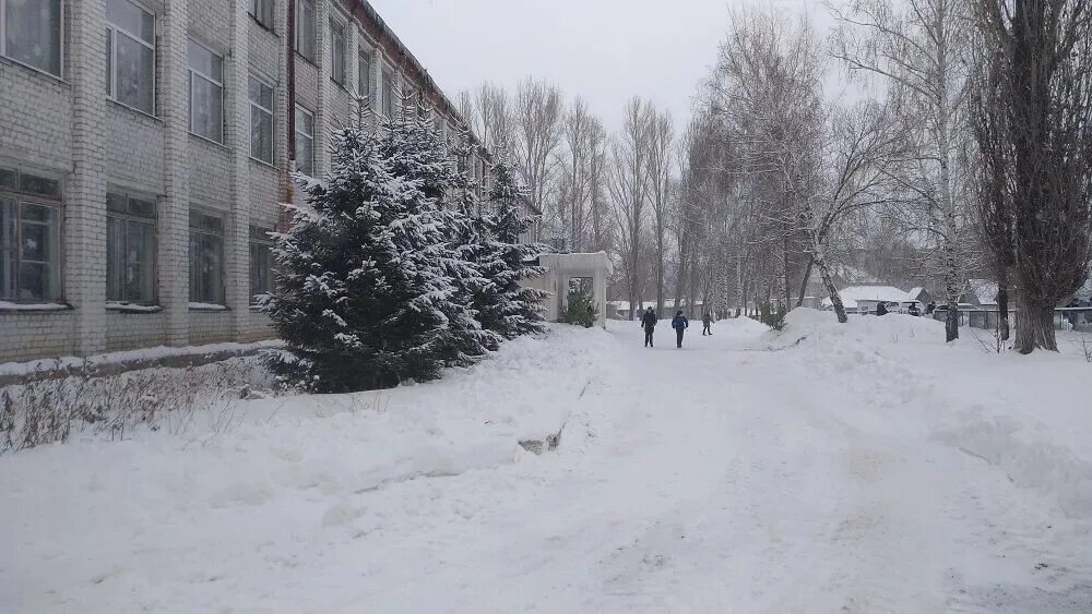 Снежный школьный двор. Снежка в школе. Школьный снег. Село школа Снежная.