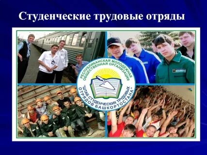Студенческий труд
