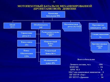 Состав мотопехотного батальона