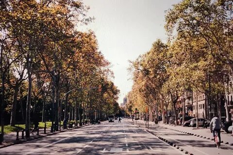 Улица дорога осень