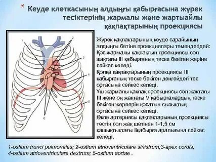 Көршісі жасырын камера арқылы моншада жуынып жатыр.