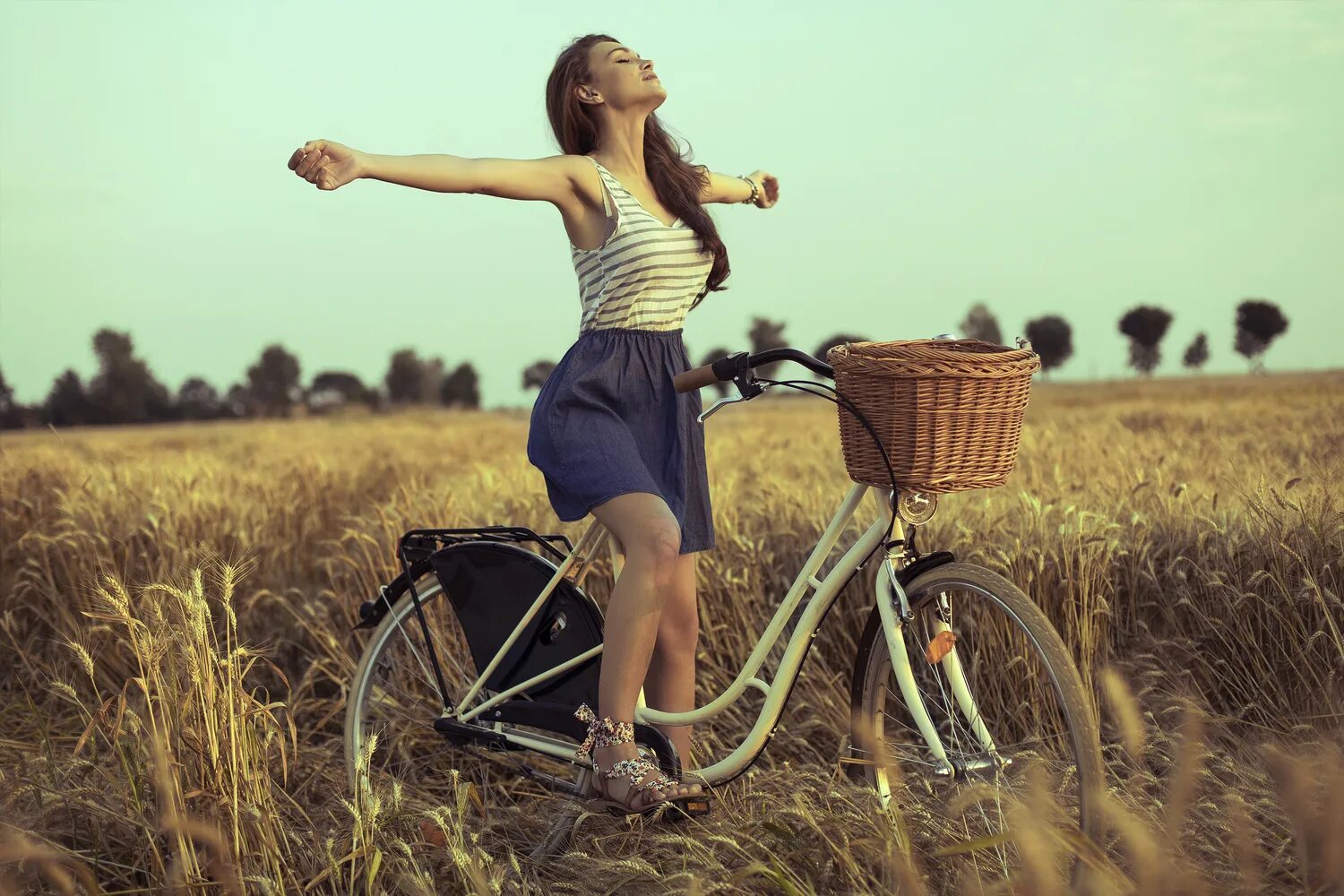 Enjoy women. Женщина на велосипеде. Девушка лето на велосипеде. Девушка на велосипеде в поле. Фотосессия с велосипедом.